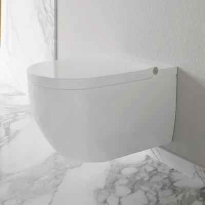 Aqualux PAX2-R Duschtoilet - LuxDusch bidéfunktion & soft-close sits